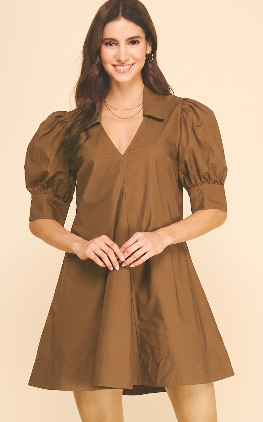 Brown Vneck Dress LG