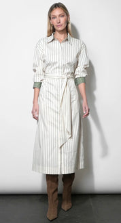 Green Stripe Envy Maxi Dress