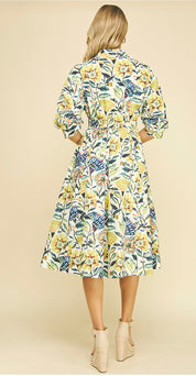 Spring Forward Dress