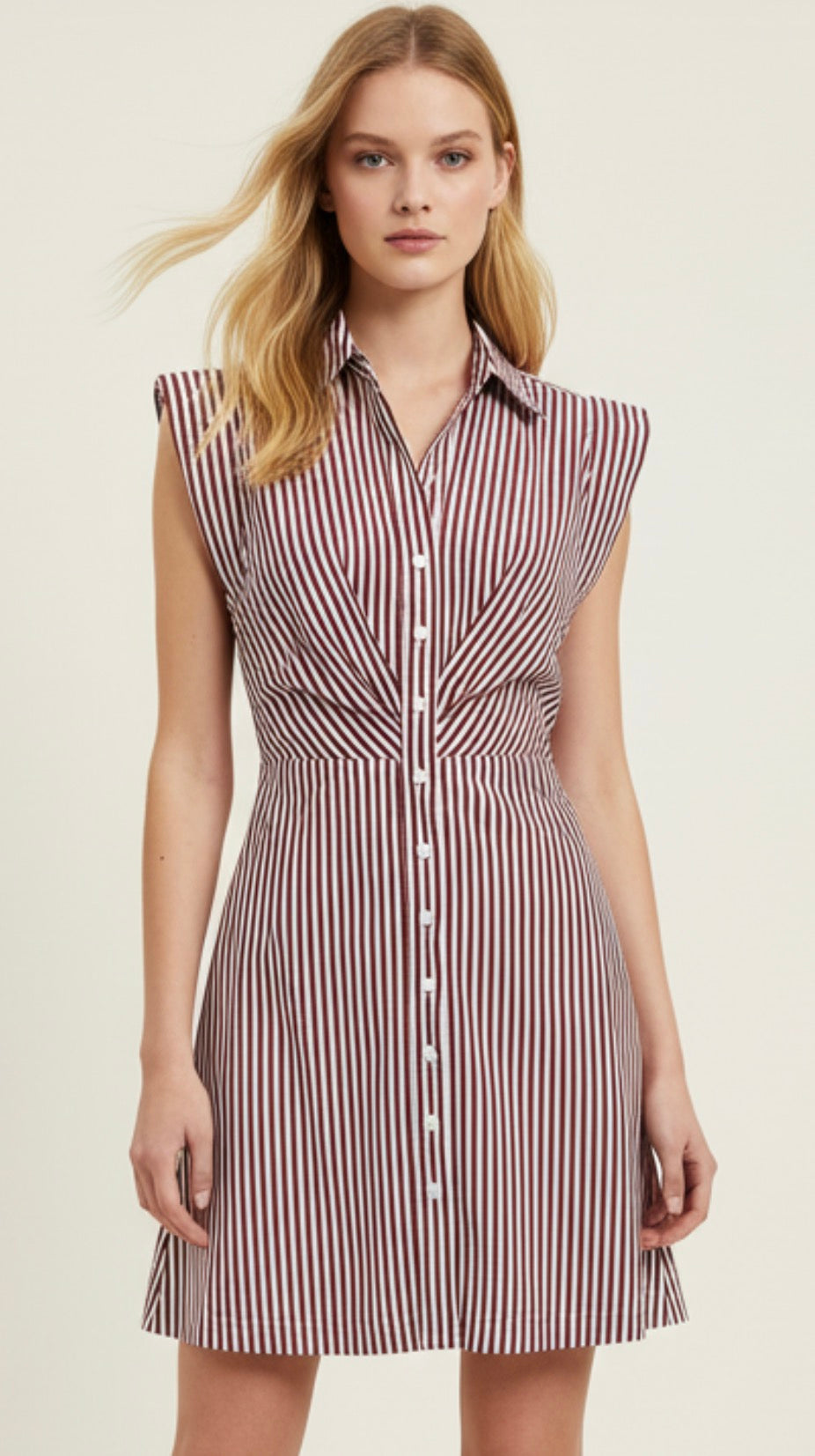 Burgundy Stripe Mini Dress