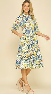 Spring Forward Dress