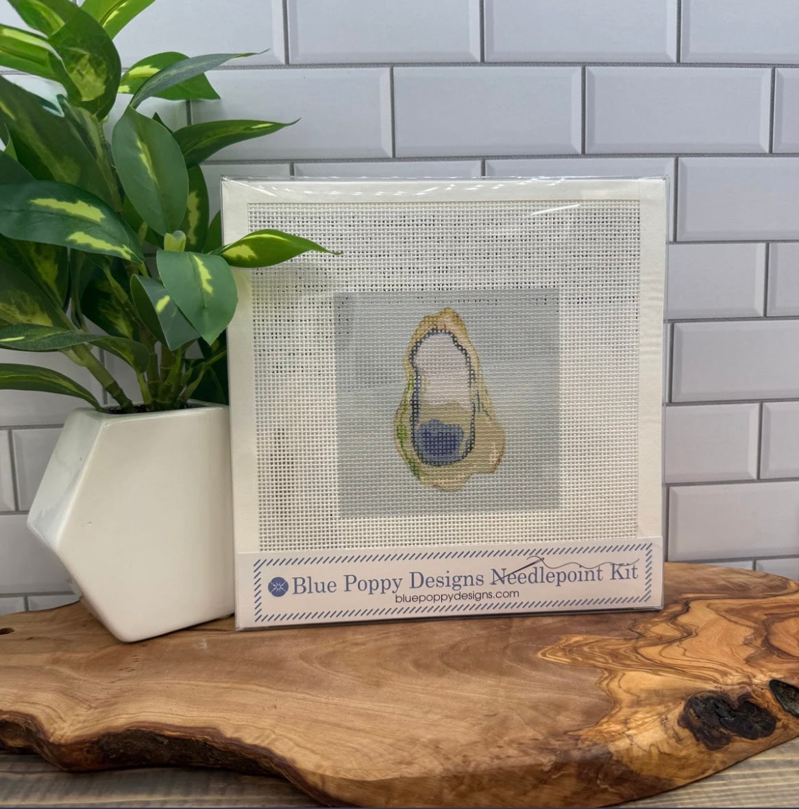 Oyster Needlepoint Kit