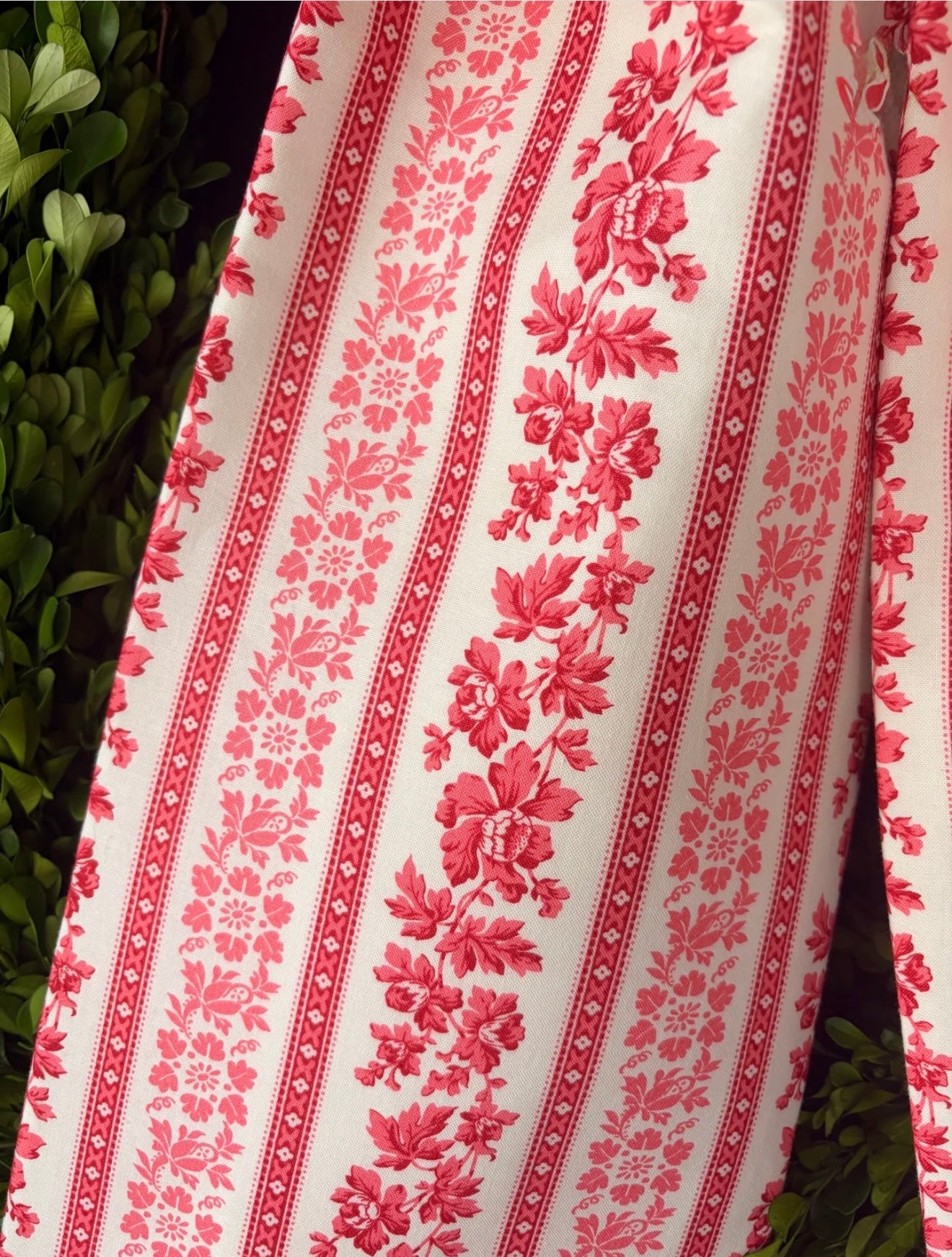 Rouge Provencal Bow