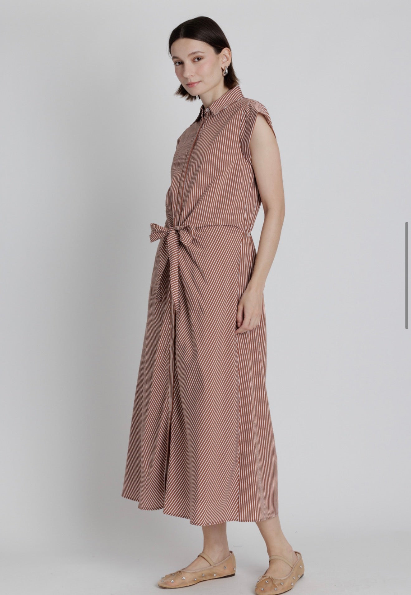 Chestnut Stripe Maxi Dress