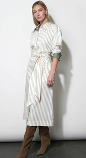 Green Stripe Envy Maxi Dress