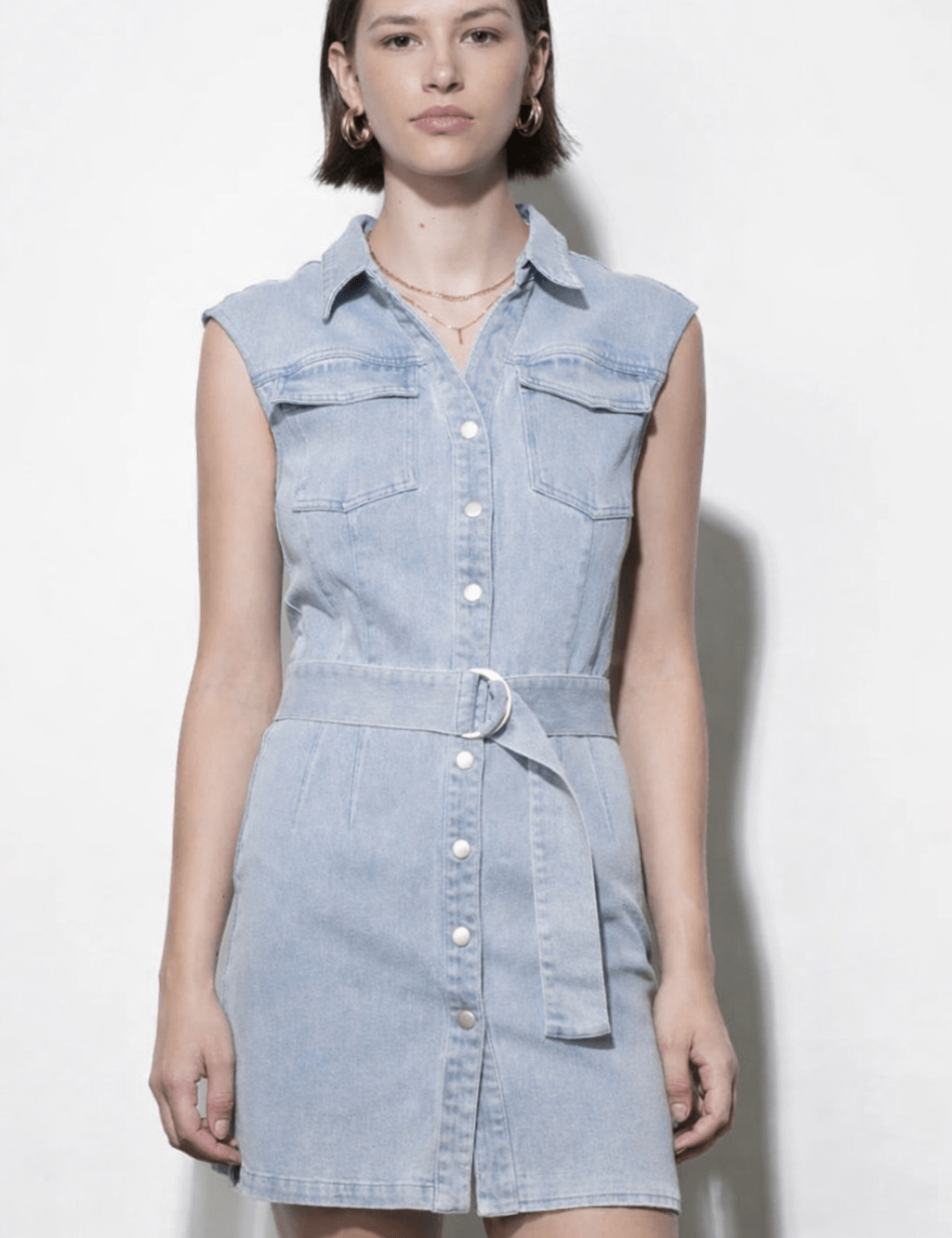 Denim Dress, a light wash denim dress, worn front view